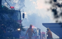 Австралию охватили лесные пожары, проводится эвакуация