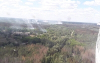 Спасатели полностью локализовали пожар в Чернобыльской зоне