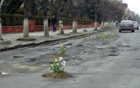 В ямы на дорогах Западной Украины высадили тюльпаны (ФОТО)