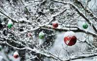 В декабре сильно холодно уже не будет