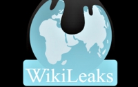 Украинская компания опровергла обвинения WikiLeaks  в шпионаже