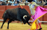 Испанцам отказались показывать корриду