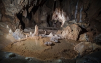 Неизвестные науке существа найдены в пещерах Хорватии