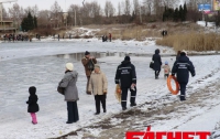 В Севастополе МЧС развернуло посты для спасения «спасителей» лебедей (ФОТО)