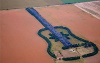 Гигантская гитара в память о скончавшейся жене