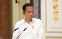 Президент Індонезії передав путіну послання Зеленського