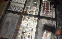 Украинец пытался перевезти в Италию 1530 пачек контрабандных сигарет