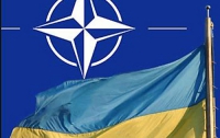 Представители НАТО готовы переписать украинские законы о выборах 
