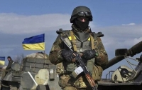 Спецназ разбил технику и позицию боевиков на Донбассе (видео)