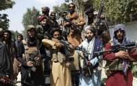 Талибы ведут переговоры с Россией о признании своего правительства