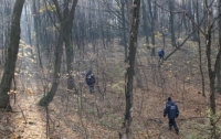На Тернопольщине в лесу нашли два трупа