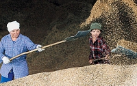 В Украине пустеют зерновые закрома