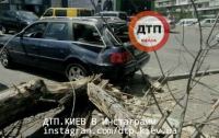 В Киеве дерево рухнуло на машину с 12-летней девочкой внутри