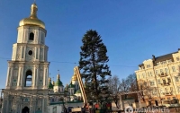 Киевлян разгневал внешний вид главной елки страны (видео)