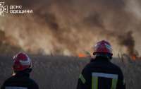 Масштабна пожежа в Одеській області через вітер перекинулась на нацпарк (фото, відео)