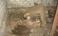 В Луганском зверинце жестокий директор продолжает морить животных голодом (ФОТО)