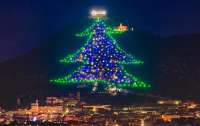 Крупнейшую в мире новогоднюю елку зажгли в Италии