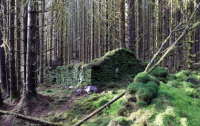 Раскрыта тайна затерянного в лесах загадочного сооружения