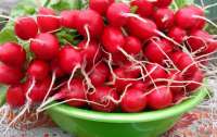 Диетологи рассказали об обратном эффекте от употреблении редиса при похудении