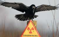 ЕС предоставит Украине 5 млн евро на радиационную безопасность