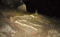 В Луганской области найдены останки животных, которые жили 10-30 тысяч лет назад