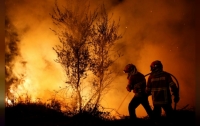 Масштабные пожары в Испании и Португалии забрали уже 39 жизней