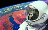 Иран отправил в космос в «капсуле жизни» обезьяну