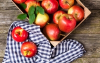 Яблочный Спас-2017: чего ни в коем случае нельзя делать