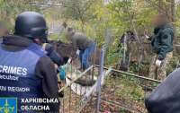 На Харьковщине нашли тела двух замученных мужчин