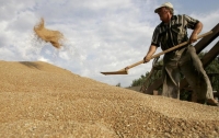 Украина побила рекорд по экспорту зерна