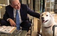 Собака премьера Израиля покусала гостей на ханукальной церемонии