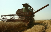 Урожай в Украине не дотянет до рекорда