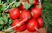 Как купить редис «без подвоха»