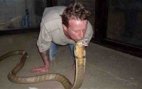 Королевская кобра убила своего известного хозяина