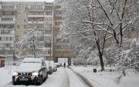 Снег «убил» 200 деревьев в Киеве