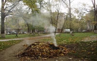 За сжигание опавших листьев будут штрафовать