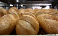 В Украине стремительно сокращается производство хлеба