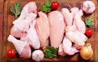 Вся курятина в Украине выращивается с антибиотиками