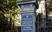 Ученые: Ливадийская экспериментальная база «Магарач» позволит Украине стать одним из лидеров виноделия в Европе
