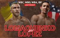 Василий Ломаченко уступил в поединке за звание абсолютного чемпиона