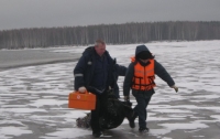 В Кременчуге рыбак утонул, спасая собаку