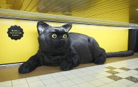 Японская служба доставки оставила в метро гигантского кота