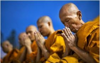 В Таиланде пчелы до полусмерти закусали 76 буддийских монахов