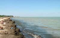 Крымские пляжи в плачевном состоянии и сильно воняют