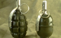 На Донетчине пытались отправить экспресс-доставкой боевые гранаты