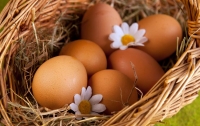 Невероятно: в Великобритании курица снесла яйцо с бриллиантом