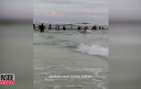 Во Флориде тонувшую семью спасли живой цепью из 80 человек (видео)