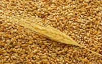 Квоты на экспорт зерна начнут продавать через две недели