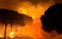 В Испании бушуют лесные пожары: людей массово эвакуируют