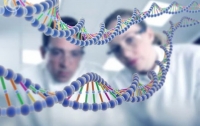 Ученые обнаружили гены внешности человека